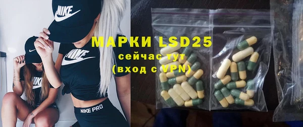 прущие грибы Балахна