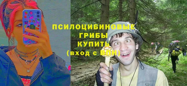 прущие грибы Балахна