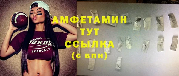 прущие грибы Балахна