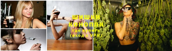 прущие грибы Балахна