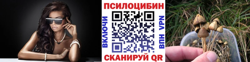 Псилоцибиновые грибы GOLDEN TEACHER  hydra как войти  Снежинск  где купить наркоту 